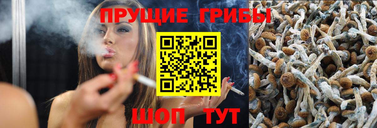 Галлюциногенные грибы Cubensis Кольчугино